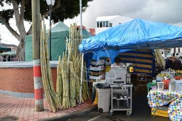 Día del Artesano y Labrador en Jinámar (Foto TA)